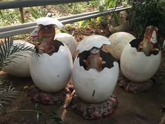 -呀路古热带植物园