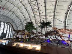 -辽宁古生物博物馆