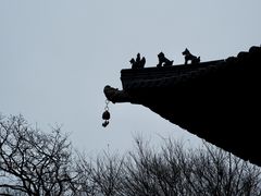 -杭州半山国家森林公园