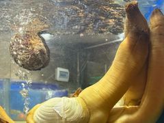 -德米火锅(深圳湾1号旗舰店)