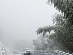 -四明山国家森林公园