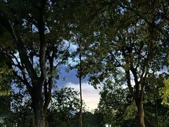 -华农酸奶文化馆