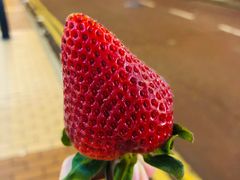 -义顺牛奶公司