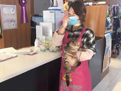 -可蒙动物医院·猫科·骨科中心(首义路店)