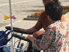 -武清南湖绿博园