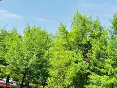 -俭寨大盘芦花土鸡·小公鸡·烧烤新疆菜(云通店)
