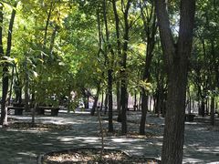 -塘沽森林公园