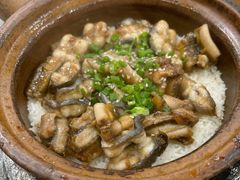白鱔拼黃鱔-红星光发煲仔饭(大石街店)