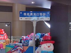 -哈尔滨太平国际机场-T2航站楼