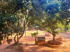 -泉州海丝野生动物世界