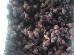 海鲜大咖-阿弟特色海鲜餐厅·大排档(平潭店)