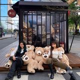 深圳拍照探店｜首发🧸60只泰迪熊来袭啦！