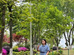 -铁山坪森林公园