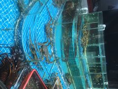 -无锡天鹏食品城