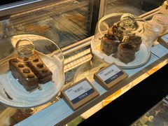 -Torch Coffee 炬点咖啡