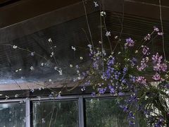 -怪咖·joker陈楠