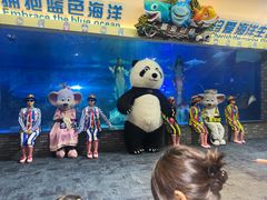 -成都浩海立方海洋公园