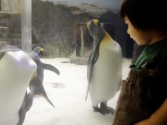 -悉尼海洋生物水族馆