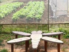 -前小桔亲子创意农场·草莓采摘·露营烧烤