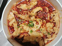 -肥家大排档(天河体育西店)
