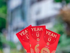 -野萃山·潮汕厚果汁(十亩地店)