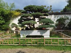 -上海虹桥迎宾馆