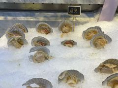 大扇贝-川骄海鲜自助(河东店)
