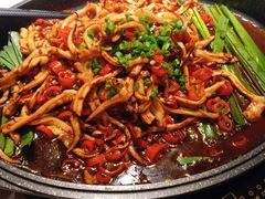 刚盆鱿鱼-大碗先生(万家丽店)