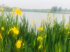 -东郊湿地公园