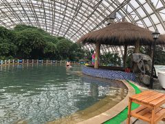 -盛泰恐龙谷温泉