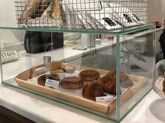 -常识咖啡common sense(春熙路店)