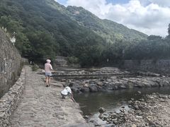-北仑森林植物园