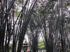 -望江楼公园