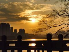 -江心屿景区