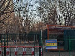 -长白岛森林公园