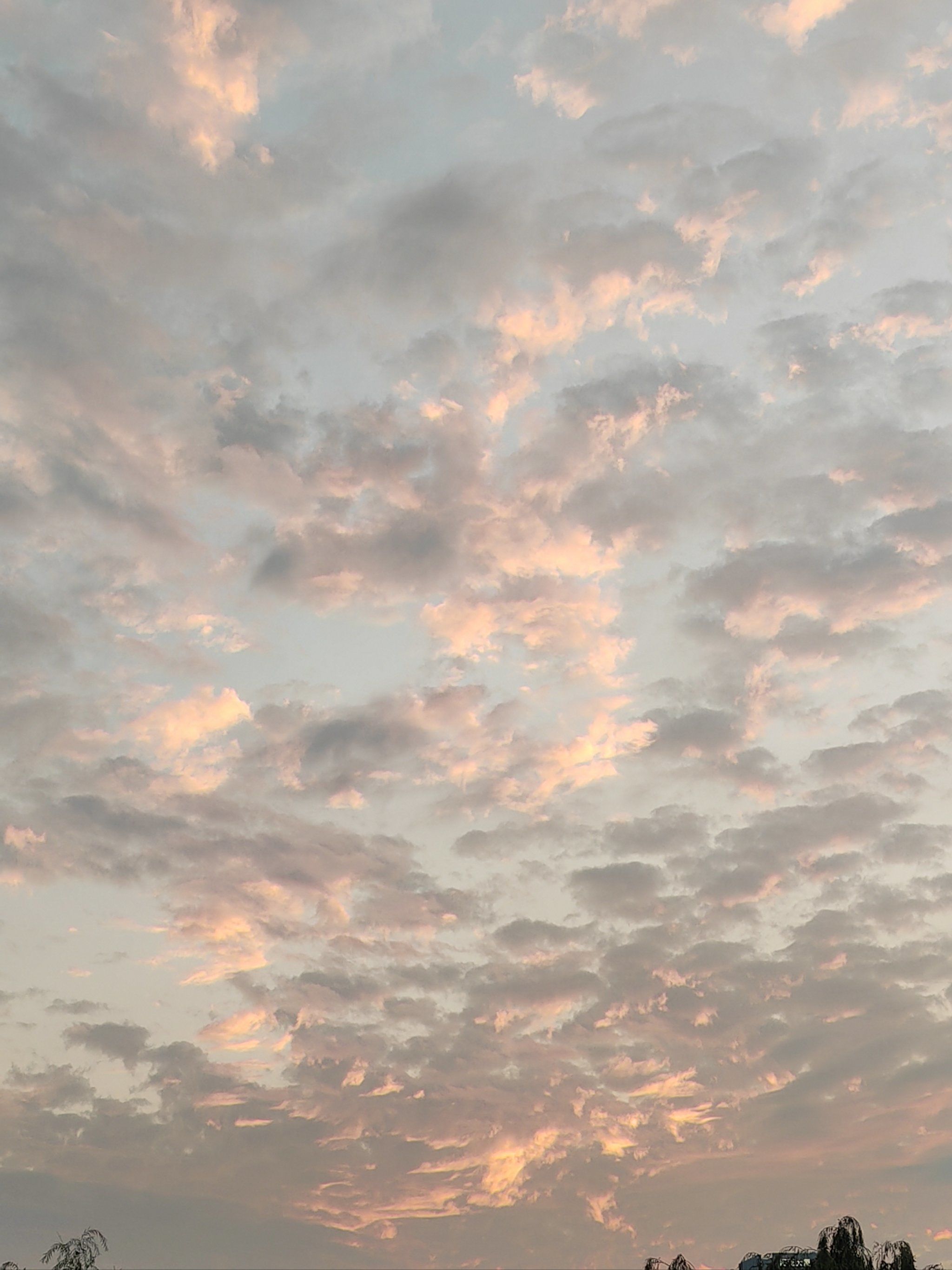 傍晚的天空色彩斑斓