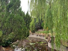 -龙口南山旅游景区