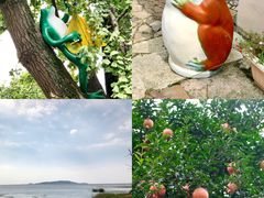 -东山风景区(洞庭东山)