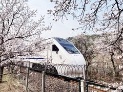 -居庸关长城