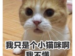 -涵苑私宴定制(外滩店)