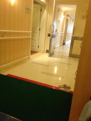 -上海交通大学医学院附属国际和平妇幼保健院生殖医学中心