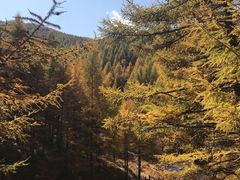 -苏木山森林公园