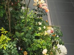 -濮园 · 四合院餐厅