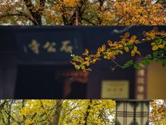 -苏州冶园园林民宿(太湖西山风景区店)