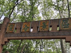 -灵谷景区