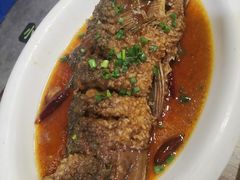 红焖黄河鲤-临潼印象·特色陕菜