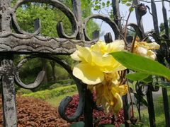 -南通博物苑-崇川人民公园