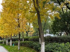 -范蠡湖公园