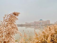 -南开大学滨海学院