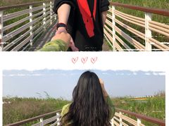 -春花秋色城市公园